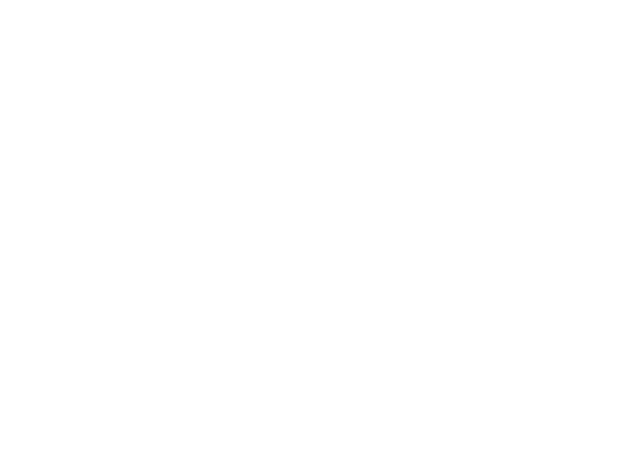 Festival Power